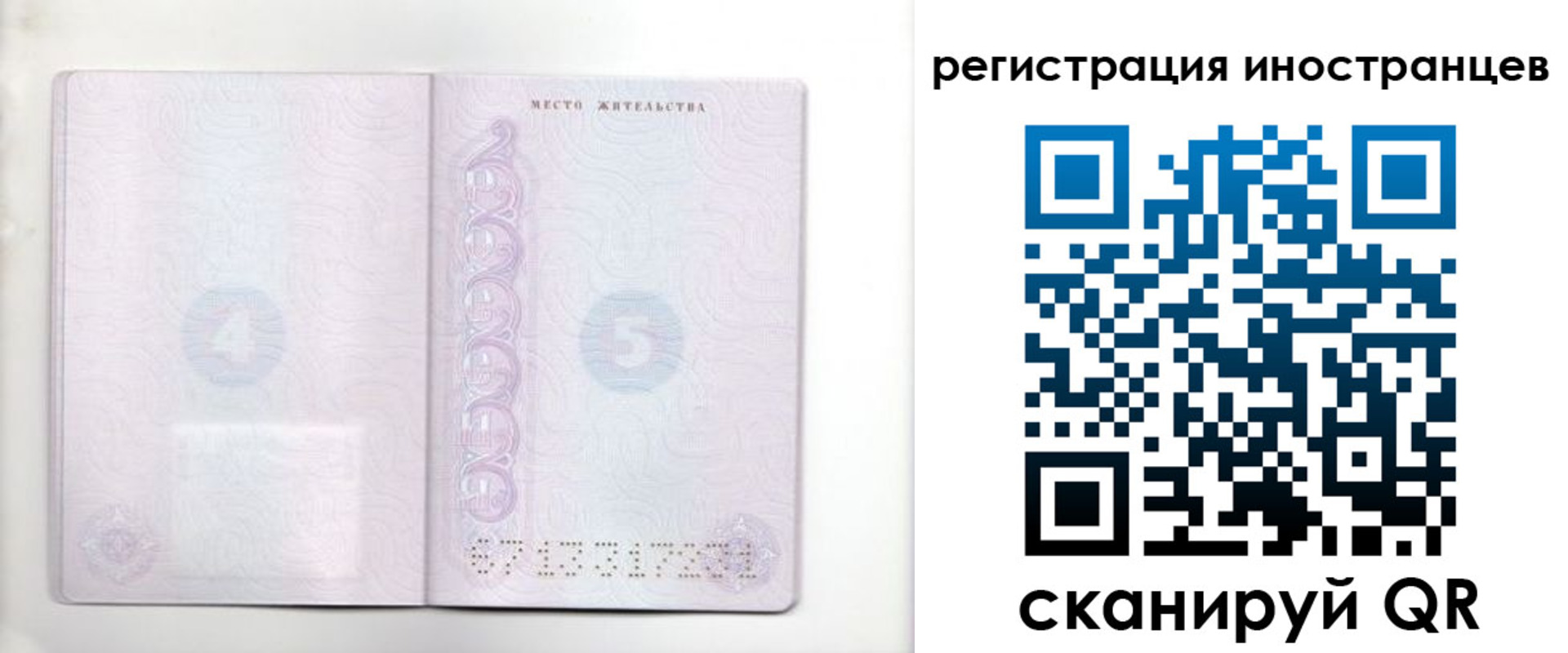 временная регистрация в Льгове